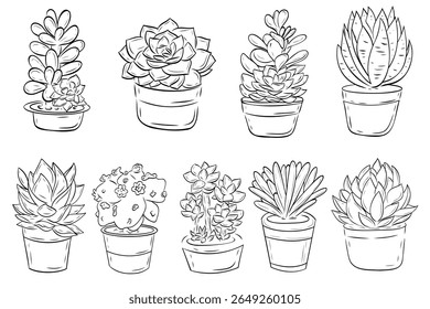 Wonderful clip art, set of succulens in a pots. Vector graphic illustration. Succulents outline isolated on white. For the design, decoration and composition of postcards, posters, stickers, prints