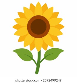A wonderful and colorful sunflower. A sunflower on white background. A beautiful sunflower icon. A natural flower.