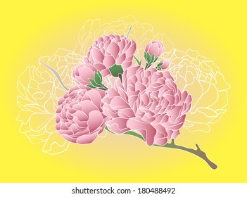 Wonderful delicate pink flowers on a yellow background