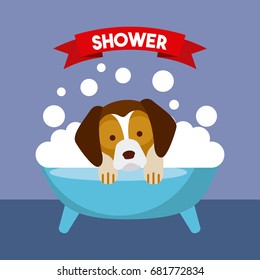 Wonderful dogs accessories