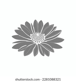Wonderful flower. Vector illustration. Coloring book page for adults. Black and white line. Love bohemia concept for wedding invitation cards, branding, Coloring page, and label.