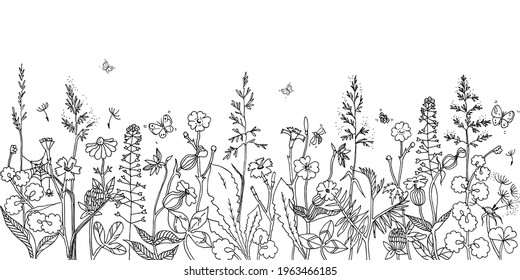 Wonderful Flowers and Leaves in meadow. Grass, plants, flowers, herbs lines on white background. Hand drawn sketch floral and insects. Field in spring or summer. 