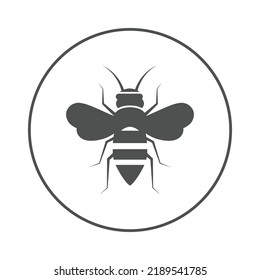 Wonderful flying bee wasp icon | Circle version icon |