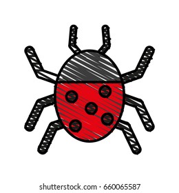 Wonderful ladybug insect
