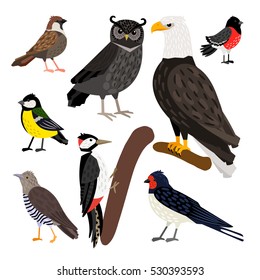 Maravilloso conjunto de pájaros de colores agradables