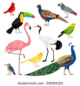  Maravilloso conjunto de pájaros de colores agradables