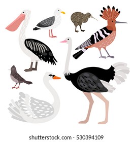  Wonderful set consisting of nice colored birds
