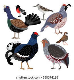  Wonderful set consisting of nice colored birds
