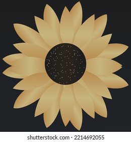 Wonderful Sun flower for eye catching for everyone 