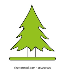 Wonderful tree from a forest