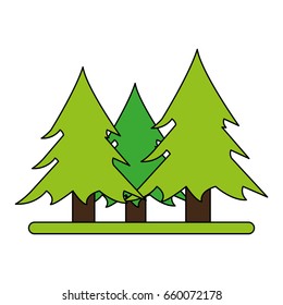 Wonderful trees forest