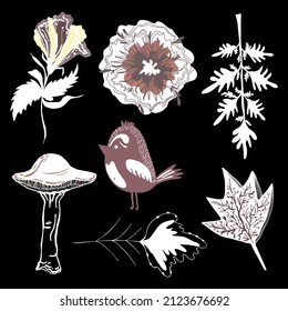 Wonderful vector delicate original set with botanical floral elements, flowers, leaves, twigs, natural elements