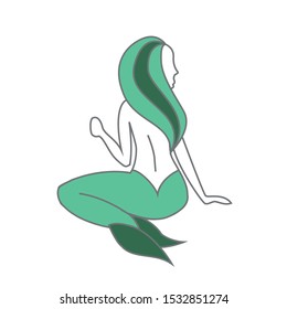 Wonderful vector illustration of a mermaid with different attributes.