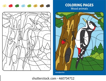 Wood animals coloring page for kids, woodpecker in forest. Printable design coloring book. Coloring puzzle with numbers of color. Black and white draw with color example.