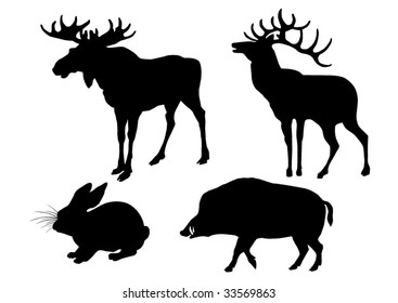 Wood animals. Elk, deer, wild boar, hare