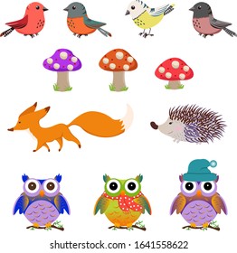 Wood animals and mushrooms / birds, fox, hedgehog and owls vector design