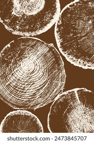 Wood annual rings texture. Template with tree ring pattern. Sections of round tree trunks. Vector image.