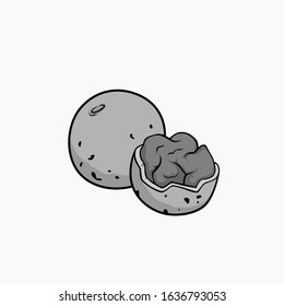 The wood apple vector grey scale mode for all purpose