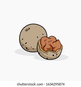 Wood apple vector illustration isolated for all purpose