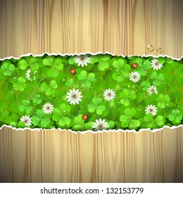 Wood background with clover