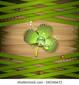 Wood background with clover and strips
