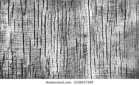 Wood Background. Vintage black and white wooden texture background. Monochrome texture.