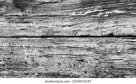 Wood Background. Vintage wooden texture background. Monochrome texture. Wood. 