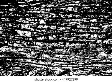 Wood bark texture background