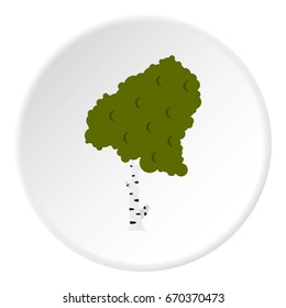 Wood birch icon in flat circle isolated vector illustration for web