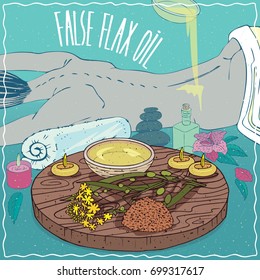 Wood Bowl of False flax oil and Camelina sativa plant. Oil flows on the back of the lying girl. Natural vegetable oil used for body massage. Vector illustration