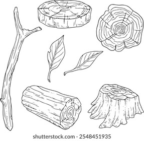 Wood, burning materials. Collection of vector sketch illustration. Materials for the woodworking industry. Stump, branch, wood. Wood lumber. Vector set