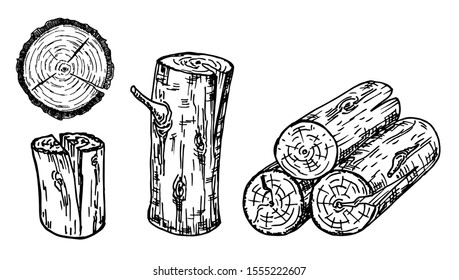 Wood, burning materials. Wood logs, trunk and planks, vector sketch illustration. Materials for wood industry. Stump, branch, timber. Tree lumber.