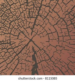 Wood concentric growth rings
