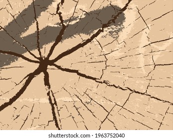 Wood crack texture, Vector, Background, Template.
