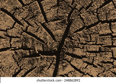 wood Cracks texture.