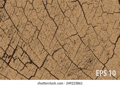 wood Cracks texture.