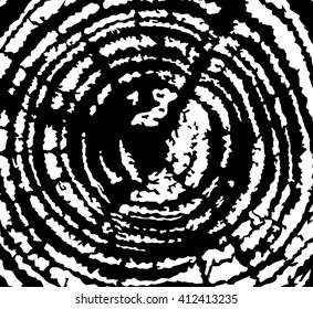 Wood cross section background