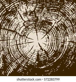 Wood cross section background