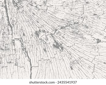Fondo de sección transversal de madera. Fondo de madera blanca natural para el diseño de su sitio web, logotipo, aplicación, interfaz de usuario. EPS10.