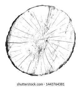 Wood cross section background. Vector illustration of annual rings.