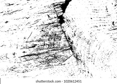 Wood cross section background, wooden texture