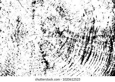 Wood cross section background, wooden texture