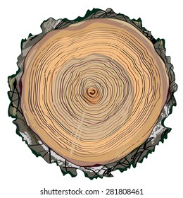 Wood cut round shape - hand drawn illustration