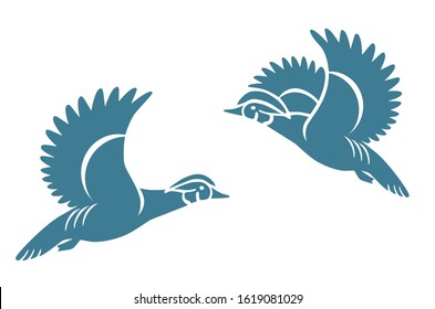 Wood Duck Or Carolina Duck Vector Illustration, Bird Vector