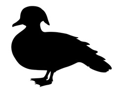 Wood Duck Silhouette Vector Art White Background