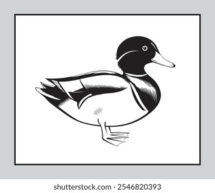 Wood duck vector images in black and white