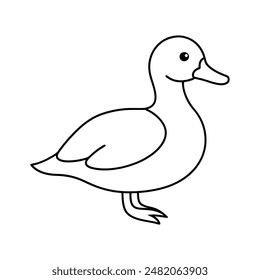 Wood duck vector line art illustration