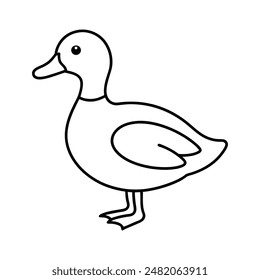 Wood duck vector line art illustration