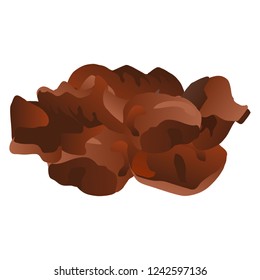 Wood ear mushroom