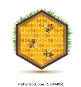 Wood frame with bees and honeycombs